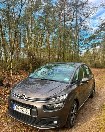 wielkopolskie Citroen C4 Picasso cena 36000 przebieg: 183000, rok produkcji 2016 z Lesko